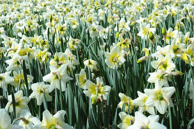 2013.3.22 008.JPG