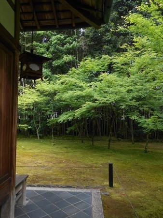 大徳寺　高桐院