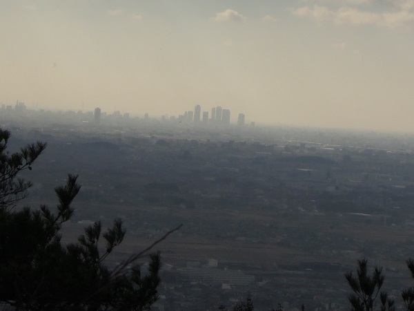 DSCN2774s.jpg