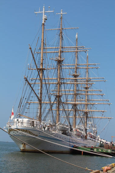 7418.jpg