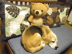 デニムでさらさら (3)