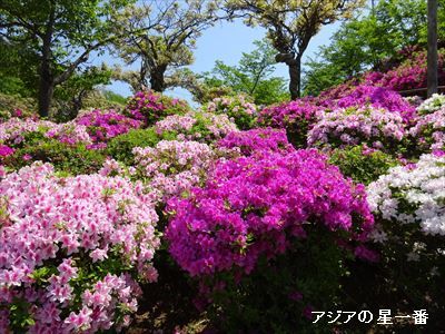 20160501 尾道市から四国へ3