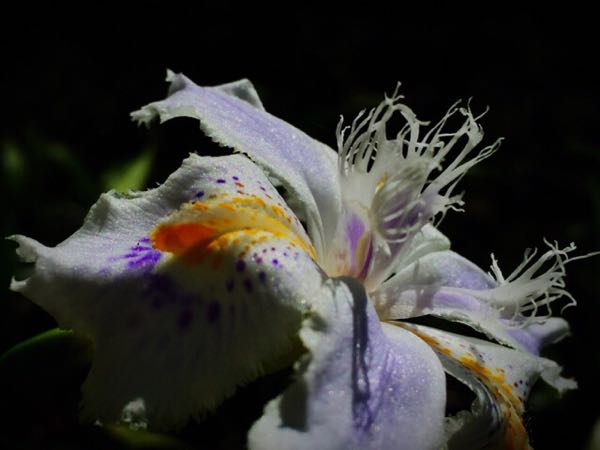 rblog-20160503174345-02.jpg