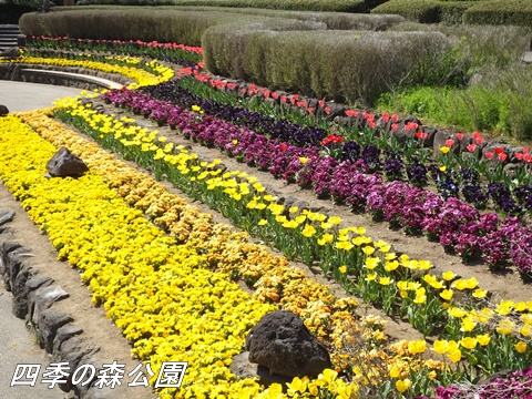 四季の森公園にて