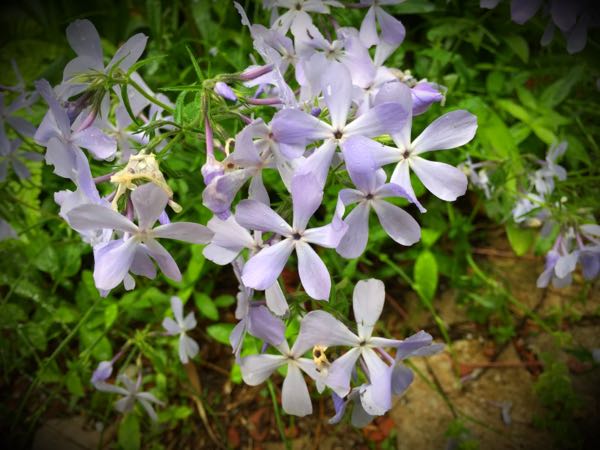 rblog-20160428173823-06.jpg