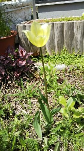 rblog-20180507204852-01.jpg