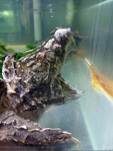 20141129(12).jpg