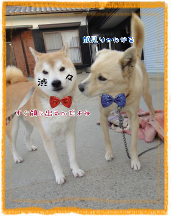 0101トム3.jpg