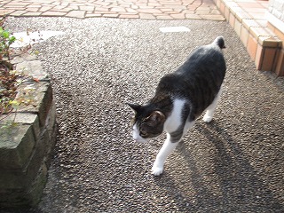 IMG_6651ss.jpg