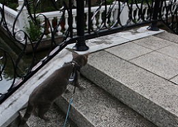 IMG_6636-30.jpg