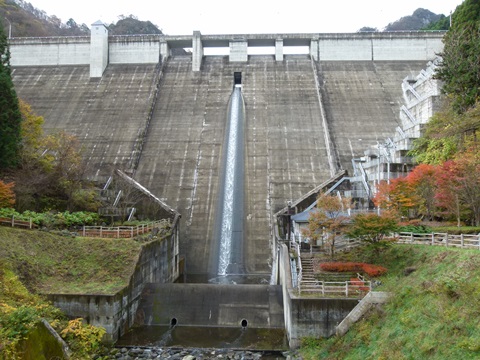 P1120443.JPG