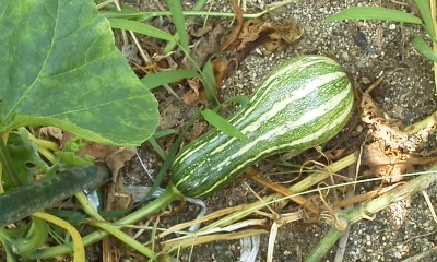 140902_1042~02.jpg