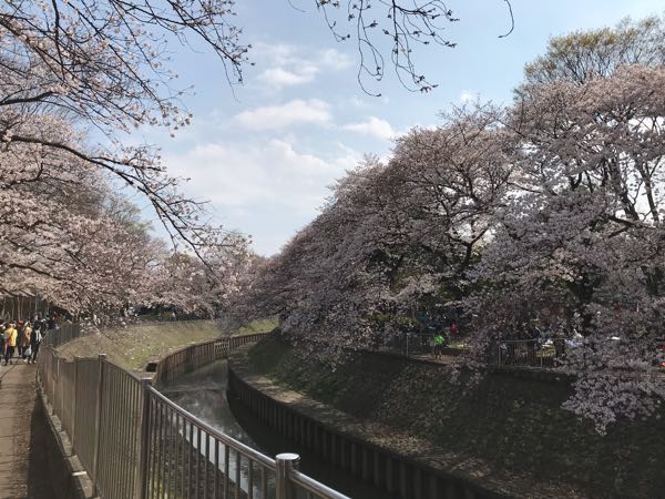 rblog-20190331200607-07.jpg