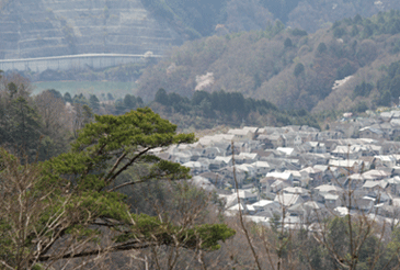 住宅地　雨森山１