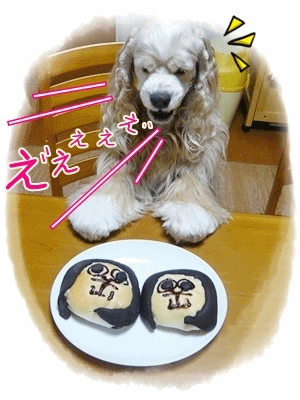 驚愕の事実に驚く蘭々!.gif