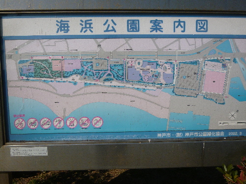 P1150123(1).JPG