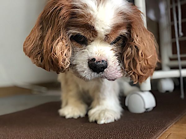 rblog-20180329175903-07.jpg