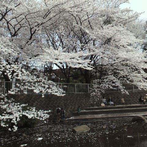 2012041014040001.JPG