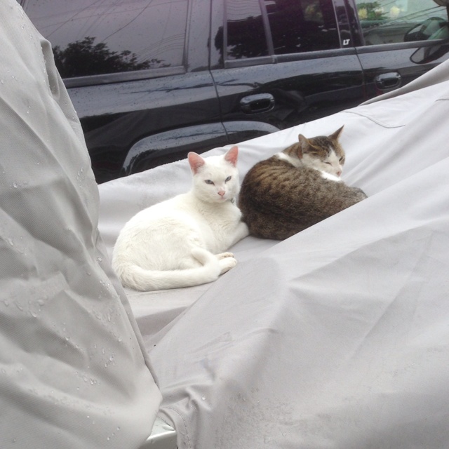 rblog-20130511192757-01.jpg