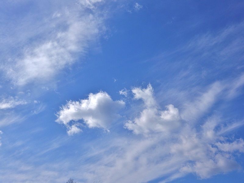 空2