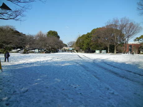 上野公園の雪景色