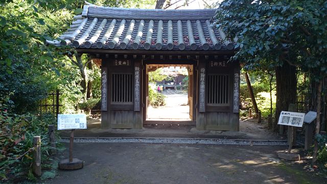 2015-11-03 13.17.33.jpg