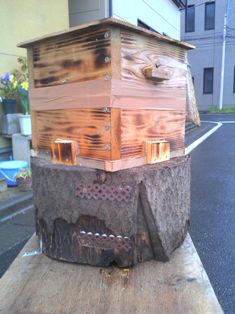 ハイブリッド捕獲箱1