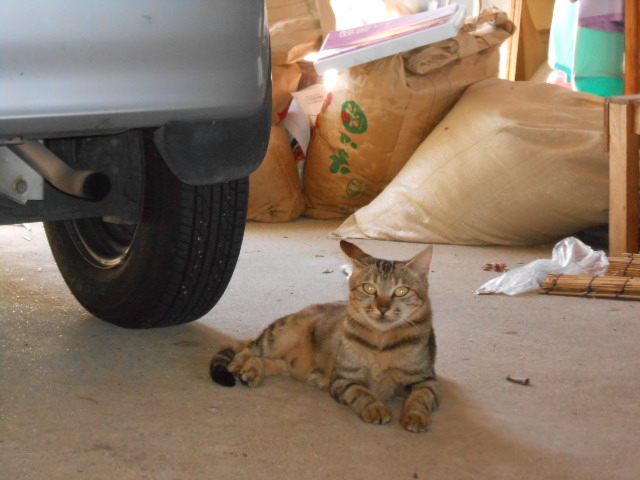 DSCN0536.JPG