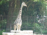 DSCN1154.jpg