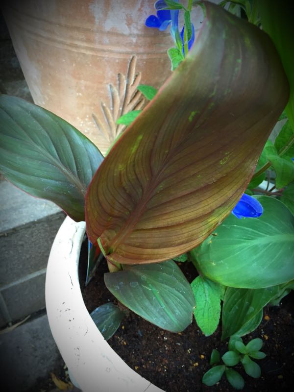 rblog-20150531143715-02.jpg
