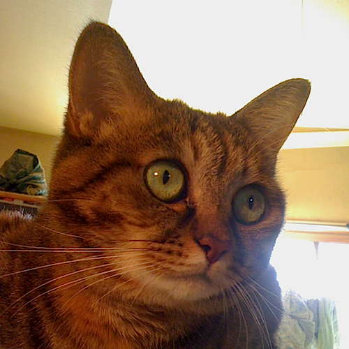 20120304m.jpg