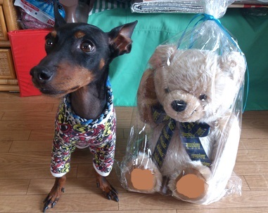 スマイリーベアとマース君2