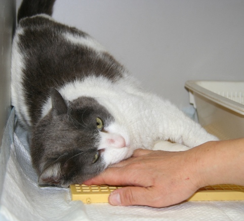 20120407ﾎｸﾞ03.jpg