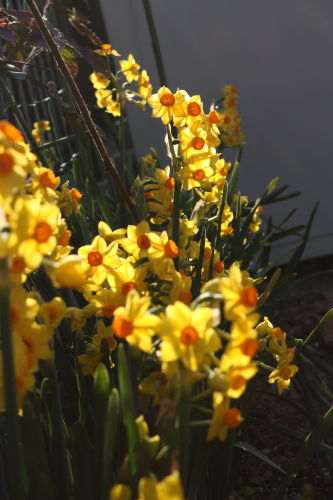 2015030104.JPG