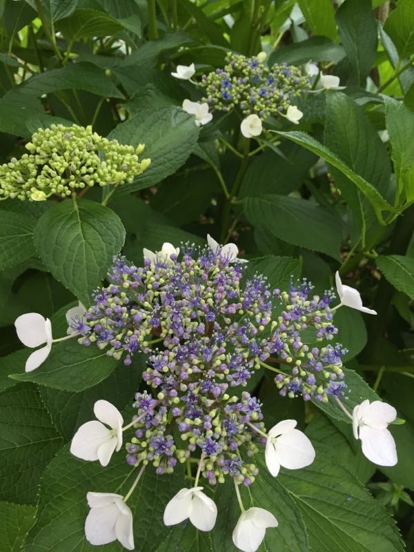 rblog-20160609235227-06.jpg