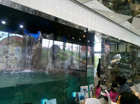 2016.1.6.1.jpg