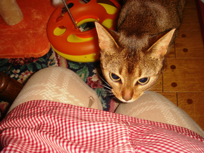 DSC09037.jpg