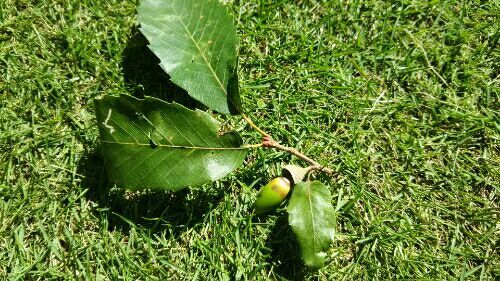 rblog-20170918192741-01.jpg