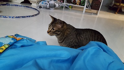 20161126_224355.jpg