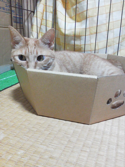 maru