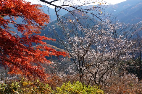 DSC07638.JPG