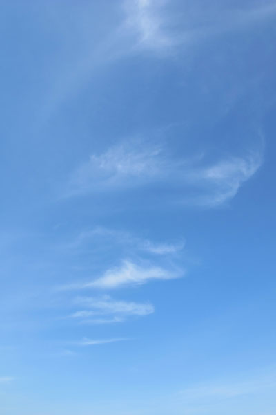 sora120329-05.JPG