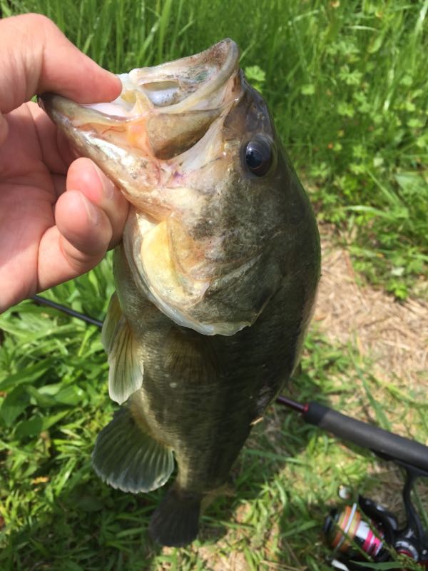 rblog-20160502111502-01.jpg