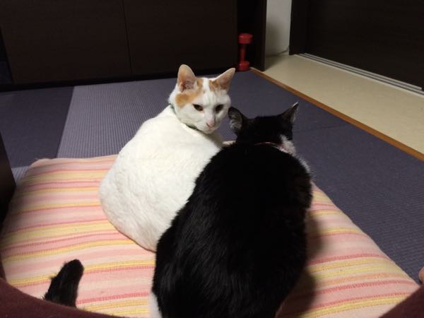 rblog-20150613060445-01.jpg
