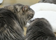 5DA_3434-2.jpg