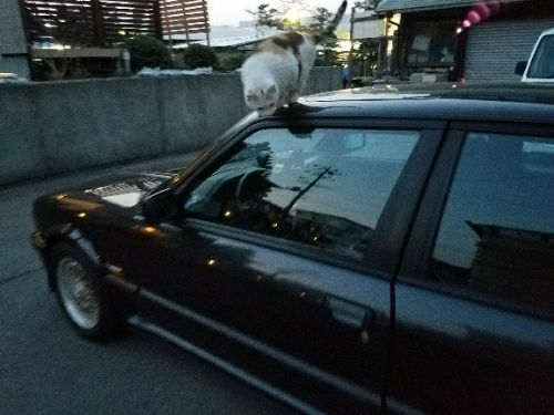 rblog-20180428202129-05.jpg
