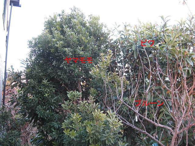 2012 8 20 007a.jpg