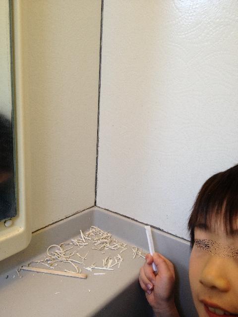 56ページ目の記事一覧 キャンピングカー オルビスユーロ ロン号の冒険 楽天ブログ