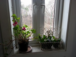 2015-04-17 10.59.09ss.jpg