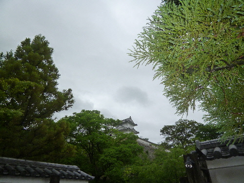 P1100876(1).JPG